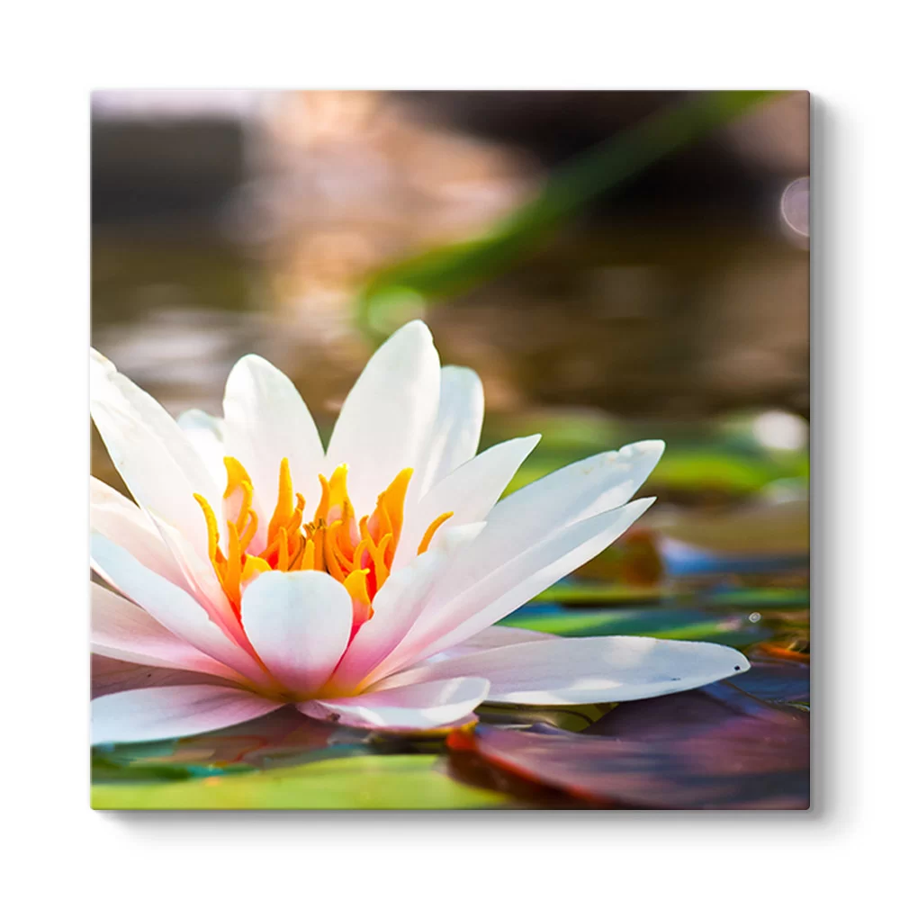 Sudaki Lotus Tablosu - Model 3